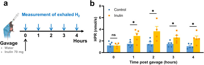 Molecular hydrogen and cancer