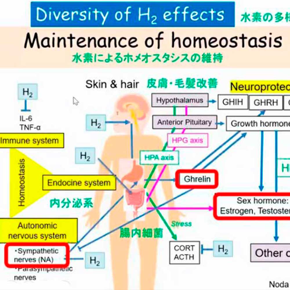 Обзор доклада профессора Мами Нода о молекулярном водороде на международной конференции осенью 2024 года